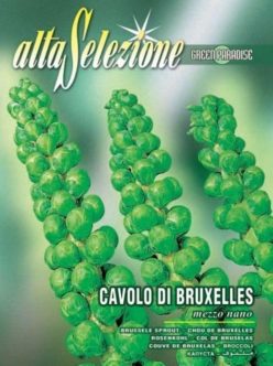.Varză de Bruxelles - Mezzo Nano