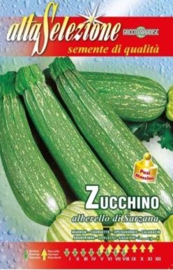.DOVLECEL ZUCCHINO ALBERELLO DI SARZANA