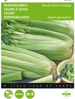 „Telină de petiol (Apio) PASCAL 1g