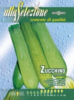 „Dovlecei ZUCCHINO GENOVESE (GreenParadise)