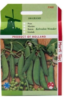 „Mazăre KELVEDON WONDER