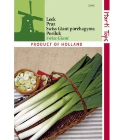 „„Praz SWISS GIANT