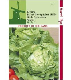 „Salată HILDE II