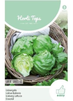 „Salată ICEBERG GREAT LAKES 118