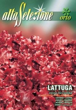 „Salată ROSSA RICCIOLINA 9g