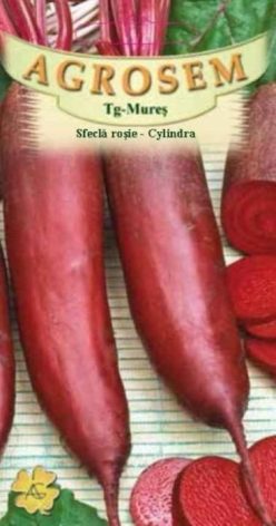 _Sfeclă rosie lungă CYLINDRA (4g.)