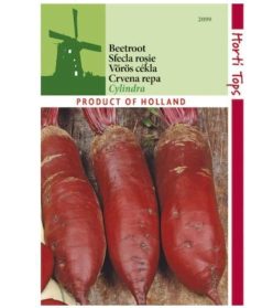 „„Sfeclă rosie lungă CYLINDRA (5g.Horti Tops)