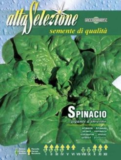 „„SPANAC Gigante D'Inverno 13g