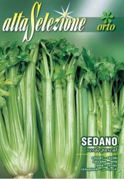 Telină de petiol (Apio) PASCAL 3g