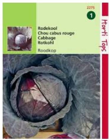 „Varză Roșie CABEZA NEGRA 2