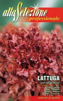 „„SALATĂ RED SALAD BOWL