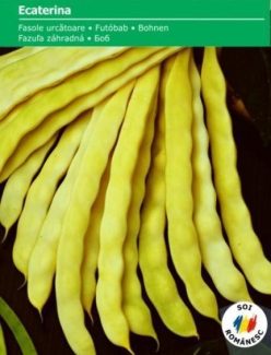 „Fasole ECATERINA
