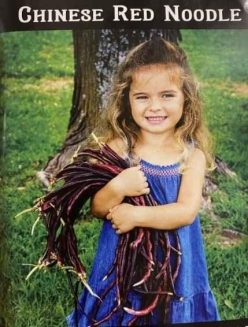 „„Fasole urcătoare (ROSIE) YARD LONG RED NOODLE