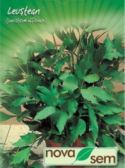 LEUȘTEAN NOVA