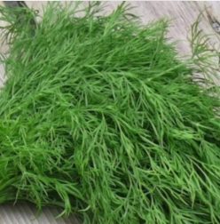 MĂRAR DANIELA -SCDL BUZĂU (1500s)