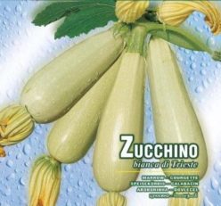 DOVLECEL /ZUCCHINO BIANCA DI TRIESTE (8g)