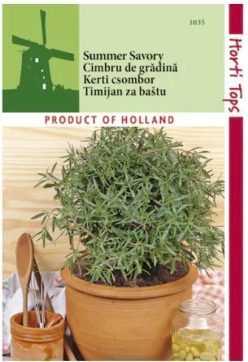 „CIMBRU (2g) -HORTI TOPS