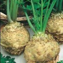 „„TELINĂ DACIA -BUZĂU SCDL