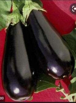 „„VINETE ZARAZA-BUZĂU SCDL (200s)