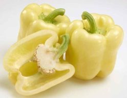 „„ARDEI GRAS BELLADONNA F1