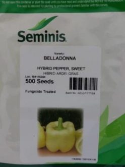 „„ARDEI GRAS BELLADONNA F1 (100s)