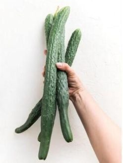 .Castraveti JAPANESE LONG