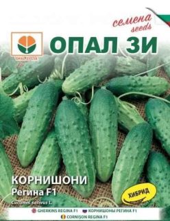 .CASTRAVETI CORNICHON REGINA F1 -(Opal ZI-Bulgaria) 2g