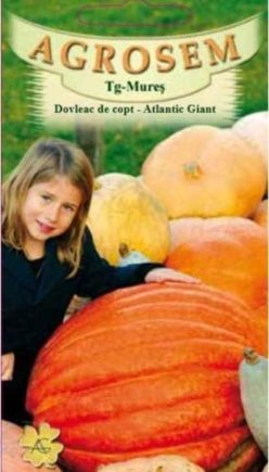 DOVLEAC PENTRU COPT ATLANTIC GIANT