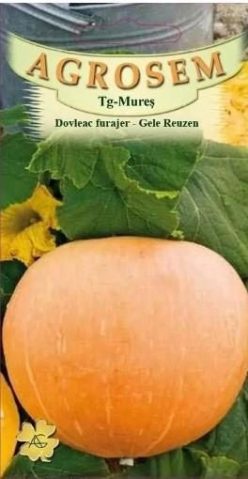 DOVLEAC FURAJER GELE REUZEN