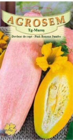 DOVLEAC DE COPT PINK BANANA JUMBO