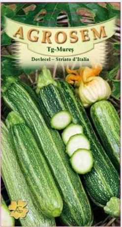 DOVLECEL STRIATO D'ITALIA