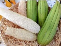 LUFFA /CASTRAVETELE DE BURETE-(AGROSEM)