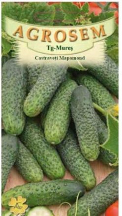 „„CASTRAVETI MAPAMOND