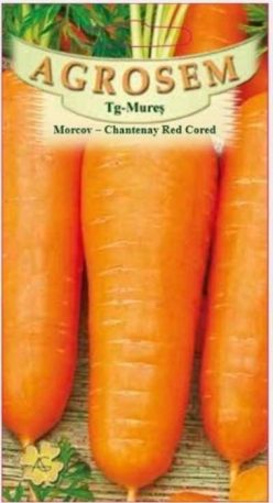 MORCOVI CHANTENAY RED CORED