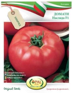 .NASALDA F1 (OPAL ZI-Bulgaria)