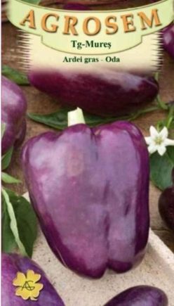 ARDEI GRAS MOV ODA (Agrosem)