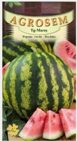 Pepeni verzi DOCHITA