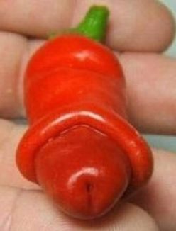 ARDEI IUTE PETER PEPPER RED