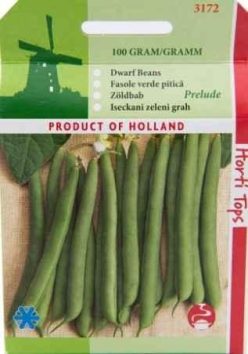 „Fasole verde  pitică PRELUDE  (Horti Tops)