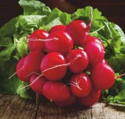 Ridichi de lună de BALENI