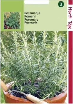 „„ROZMARIN (Horti Tops)