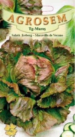 SALATĂ ICEBERG MARAVILLA DE VERANO