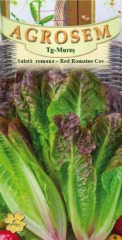 SALATĂ ROMANA RED ROMAINE COS