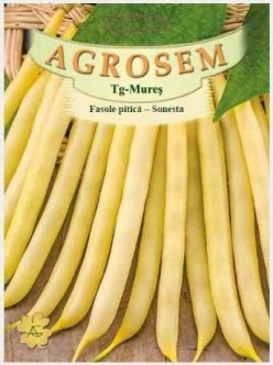 „FASOLE PITICA SONESTA (100 s)