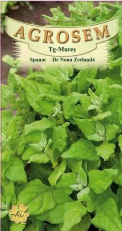 SPANAC DE NOUA ZEELANDA