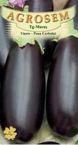 „VINETE PANA CORBULUI