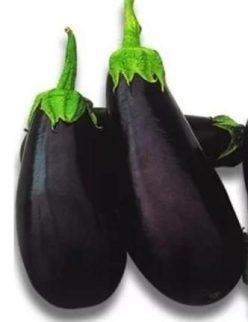 VINETE CLASSIC F1 (CLAUSE)