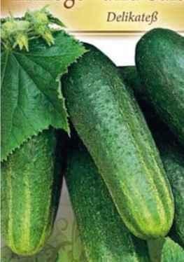 „„Castraveti cornichon DELIKATESS - imagine 4