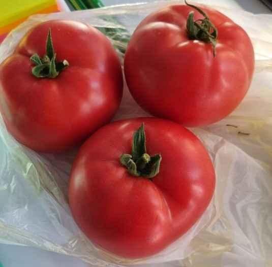 PINK LORD F1-NONGWOO BIO - imagine 2