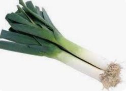 „„PRAZ BULGARIAN GIANT (10g.)